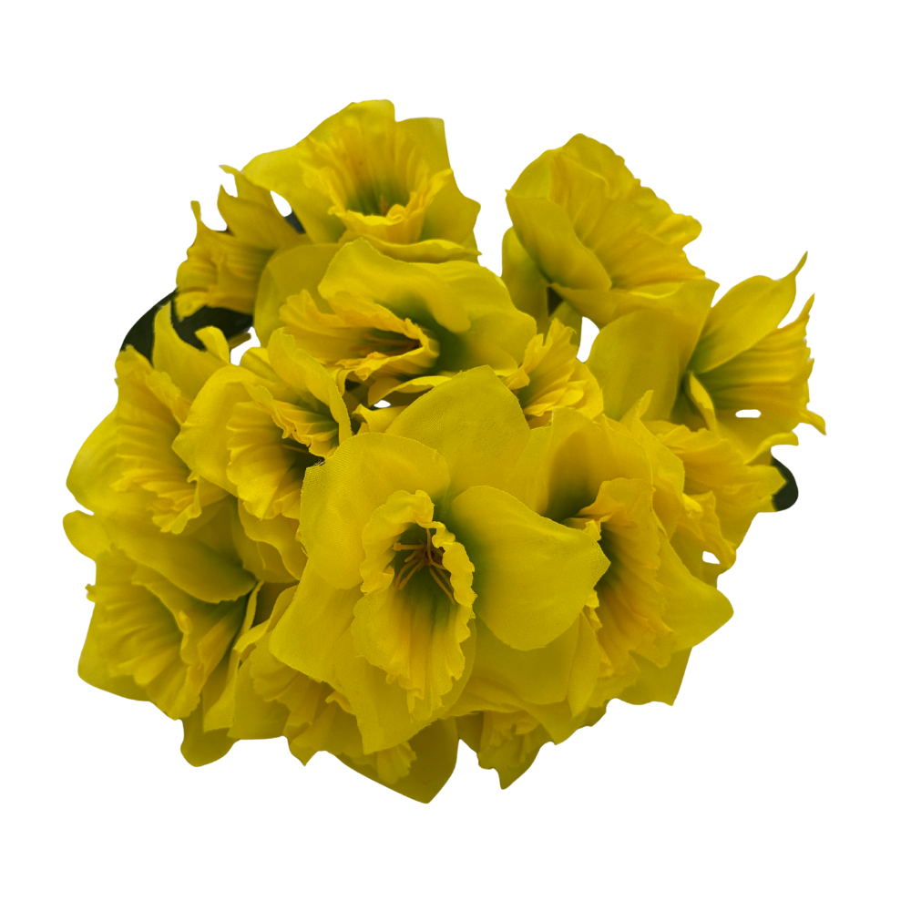 BN72 Zielony (1).png