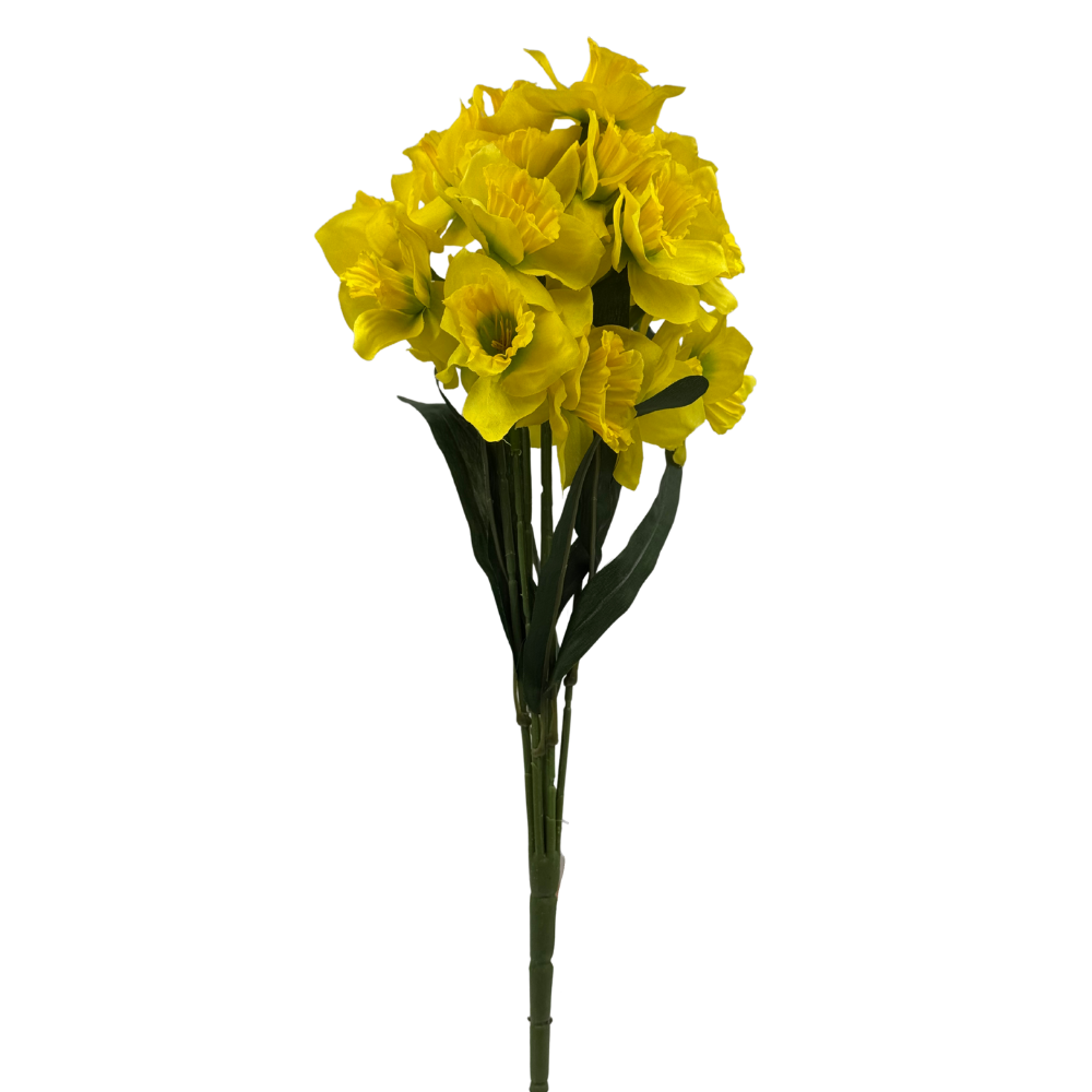 BN72 Zielony (3).png