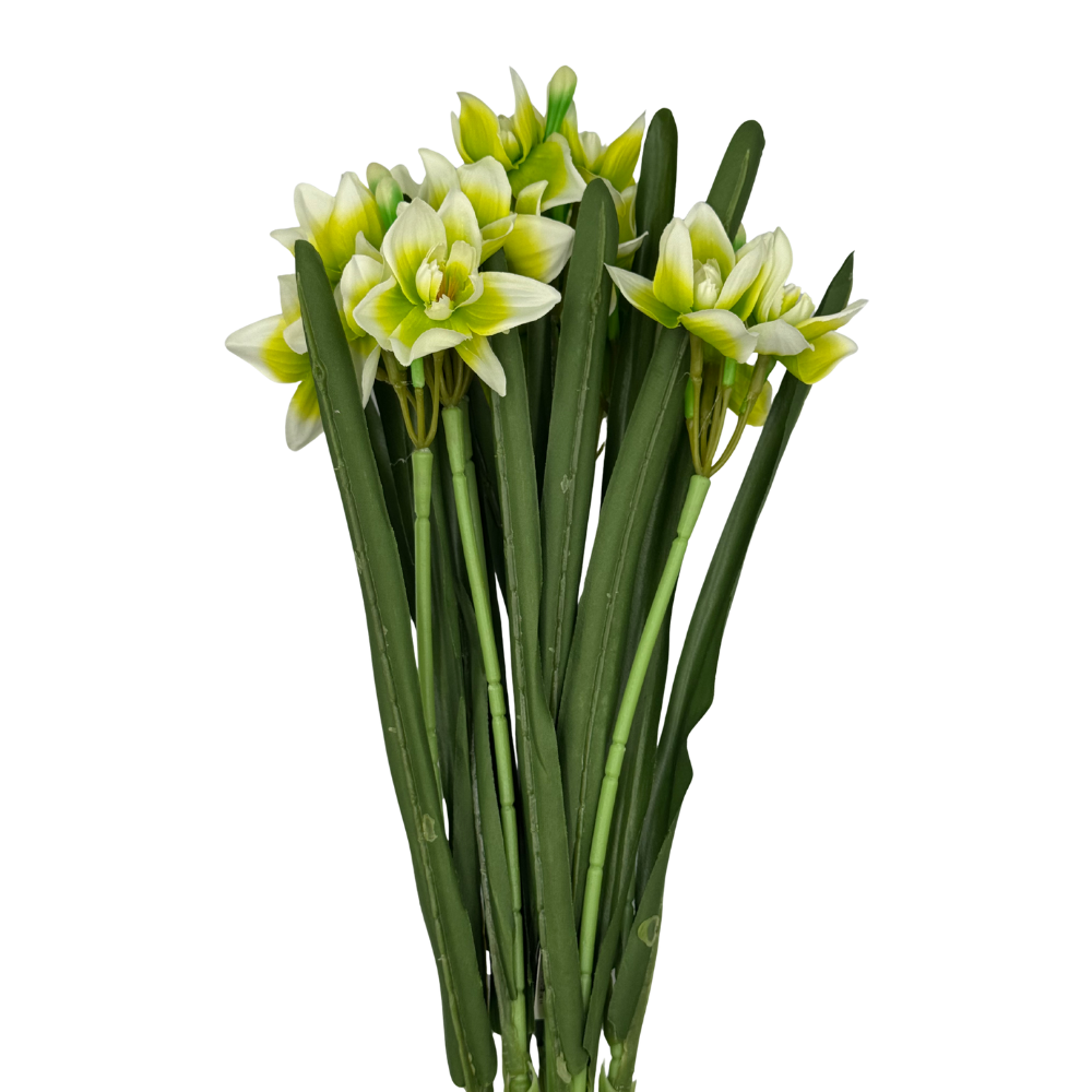 BN149 (5).png