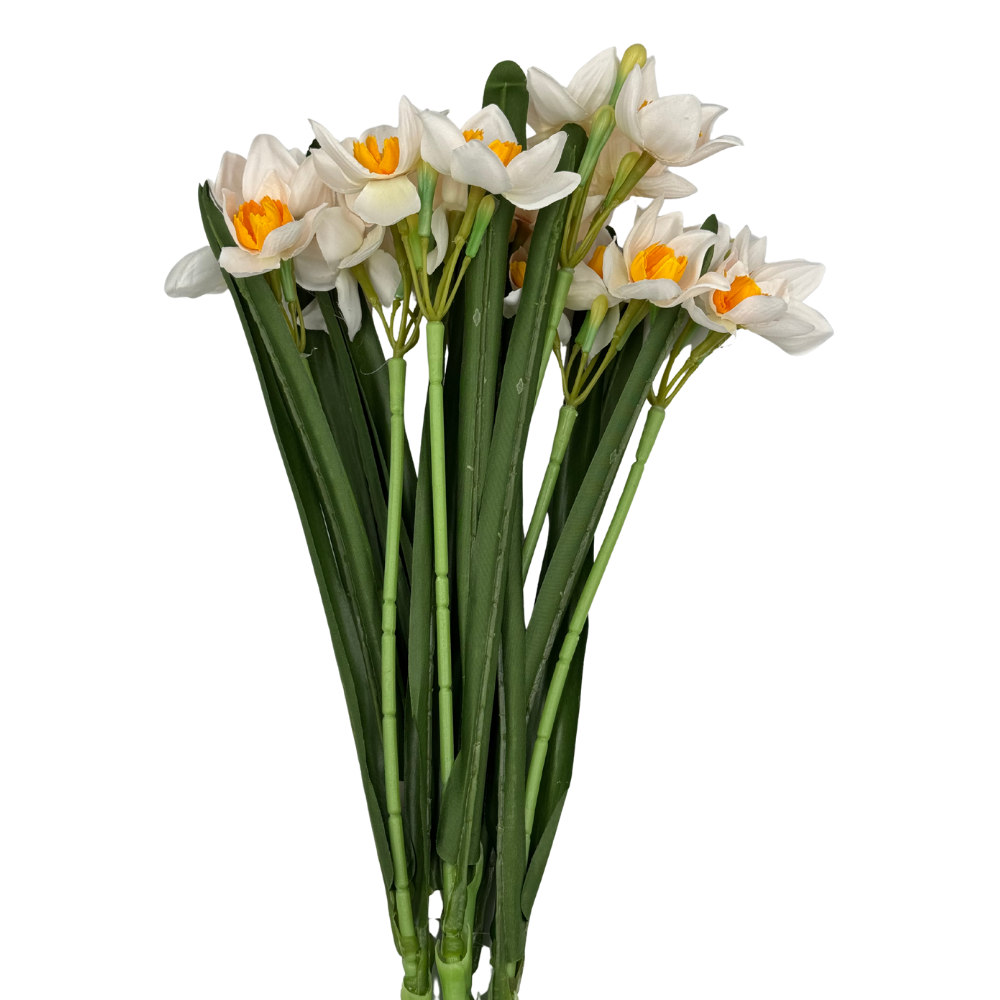 BN149 (1).png
