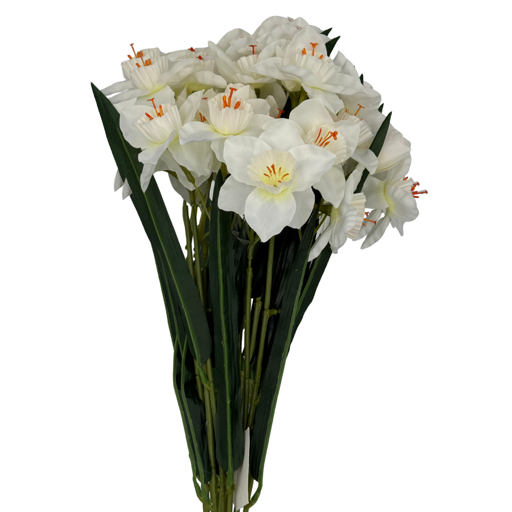 BN149 V2 (1).png