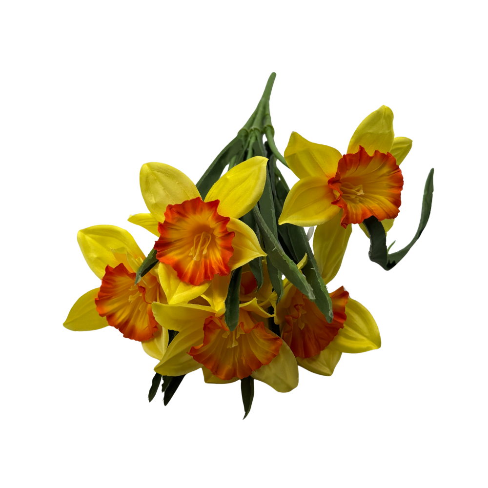 BN145 BUA8195 (4).png