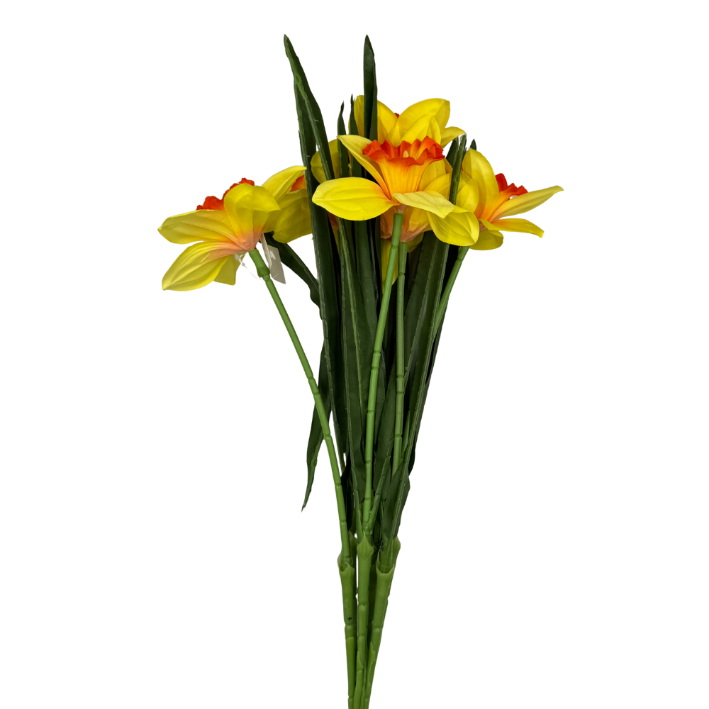 BN145 BUA8195 (5).png