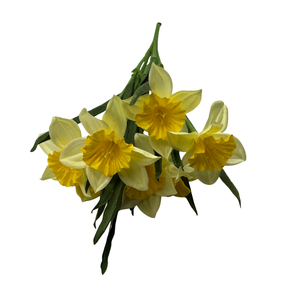 BN145 BUA8195 (6).png