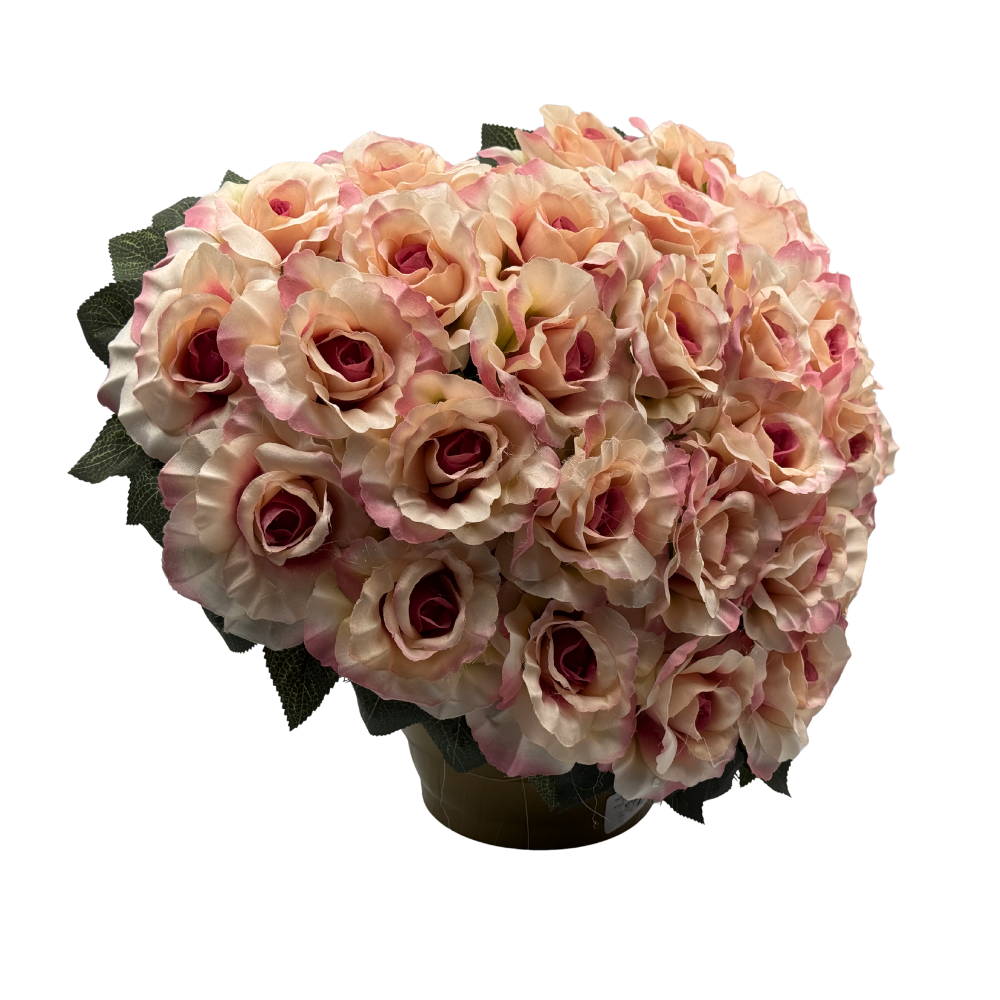 zkose-26639 r (4).png