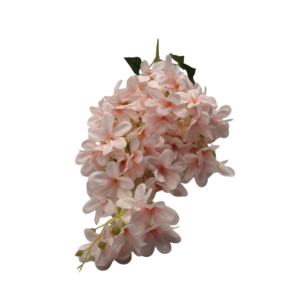 KWIAT JABŁOŃ GAŁĄZKA DŁUGA (6).png