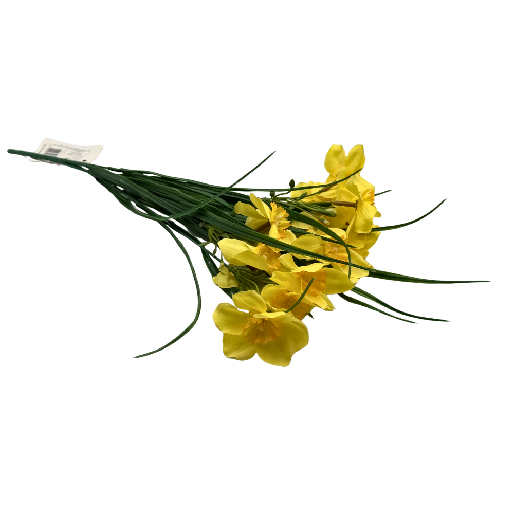 narcyz żonkil żółty  (1).png