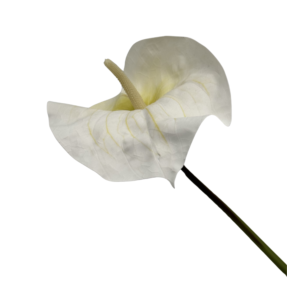 Anturium Piana dekoracyjne na łodydze 85 cm Elegancka Ozdoba do kompozycji florystycznych XL (5).png