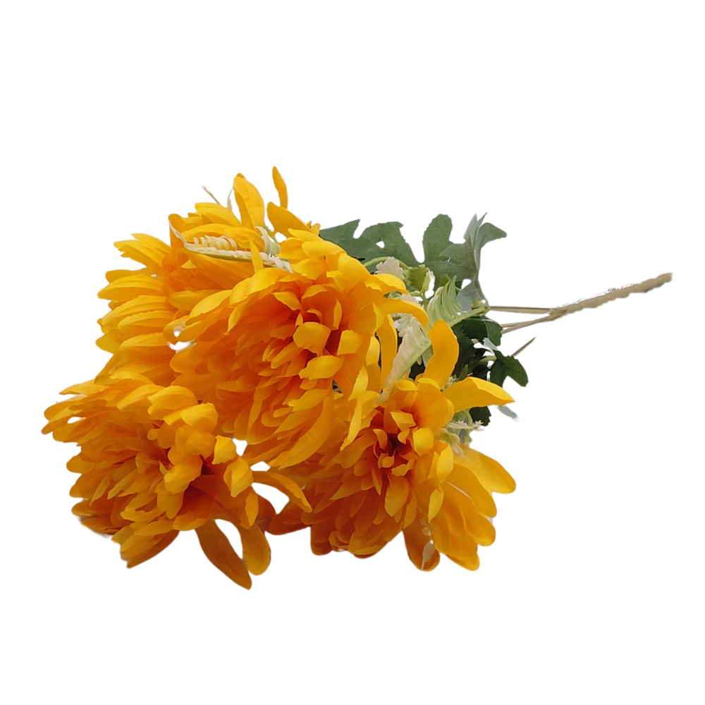 16.png